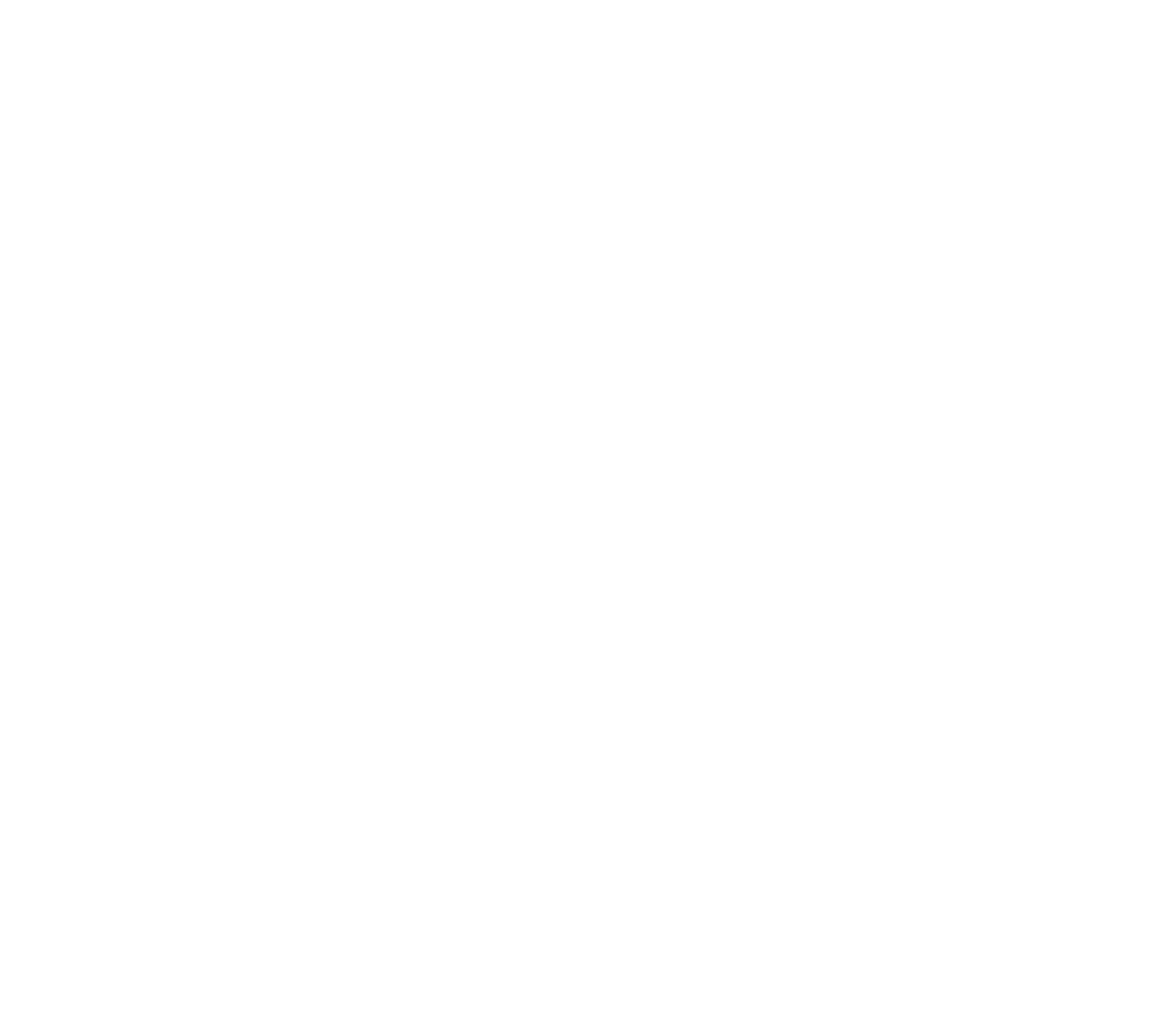 לוגו ZINCO